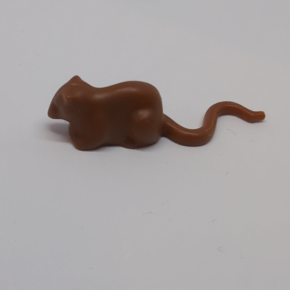 Ratte neubraun reddish brown