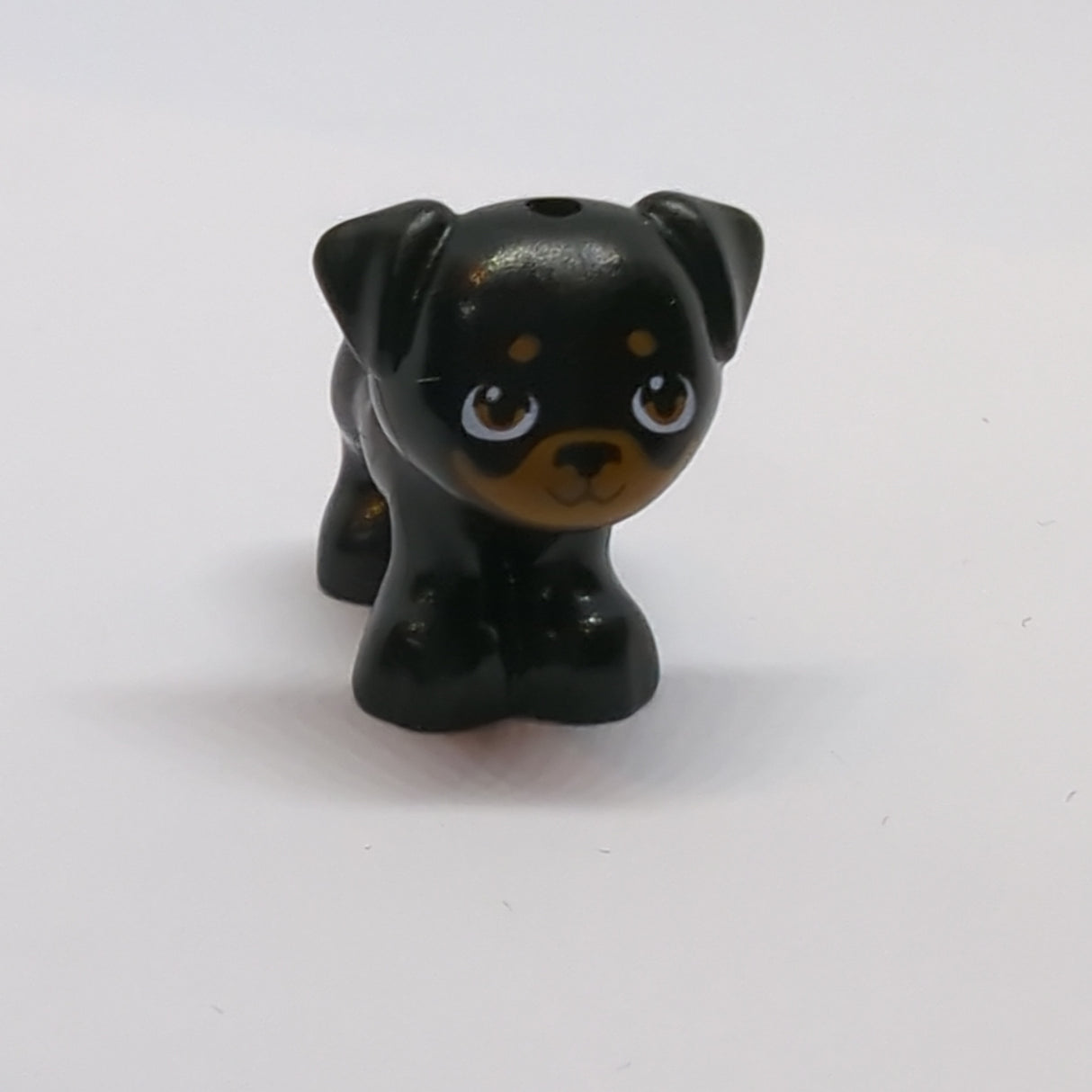 Dog, Friends, Pug, Standing with Medium Nougat Muzzled Face, Eyes and Spots Pattern (Apollo) schwarz black