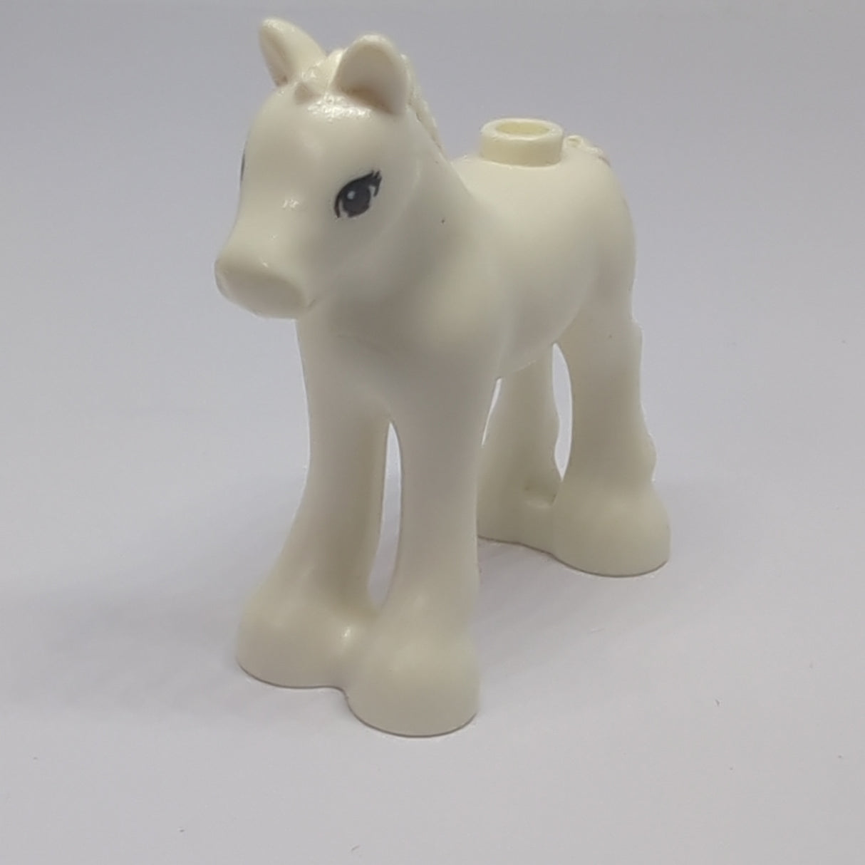 Friends, Fohlen , schwarz braune Augen, drei Wimpern, weiss white