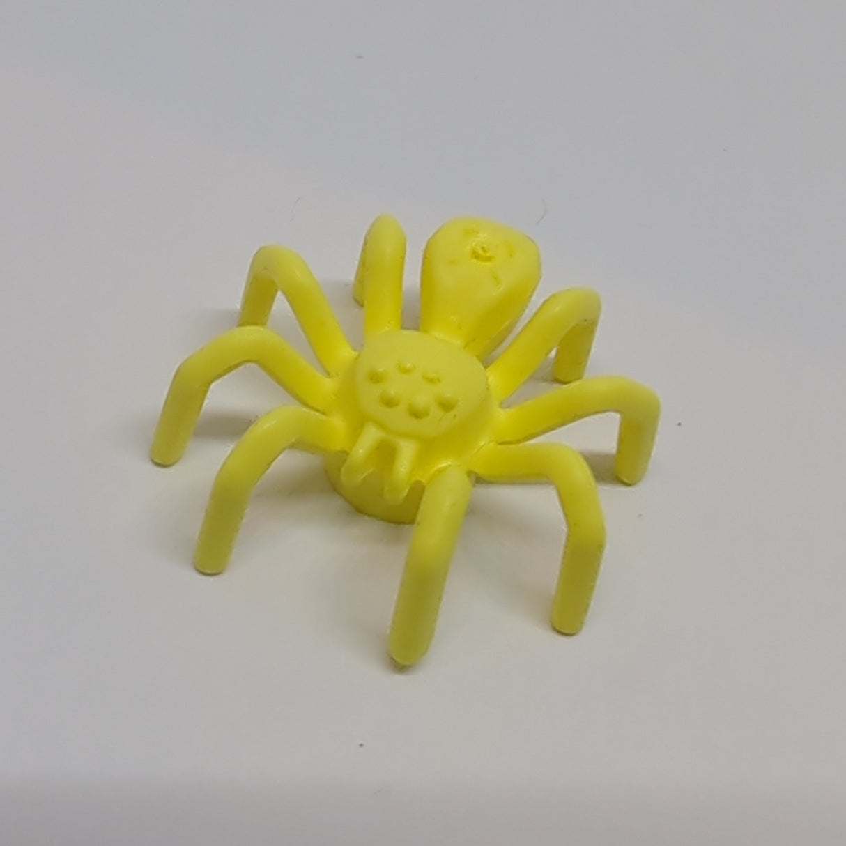 Tier Spinne mit länglichem Körper hellgelb bright light yellow