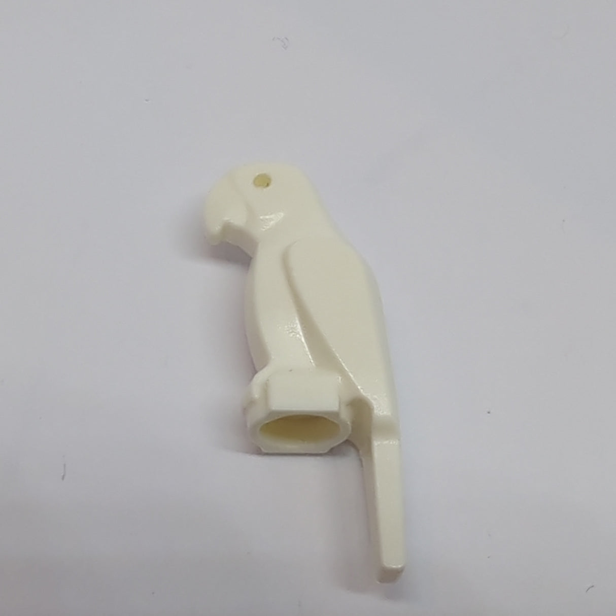 Papagei Bird, Parrot with Large Beak weiss white