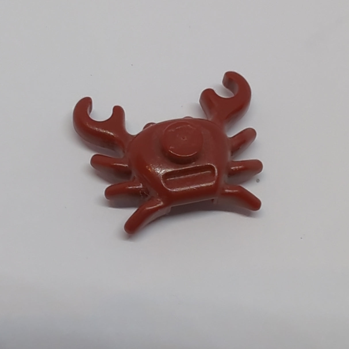 Krabbe dunkelrot dark red