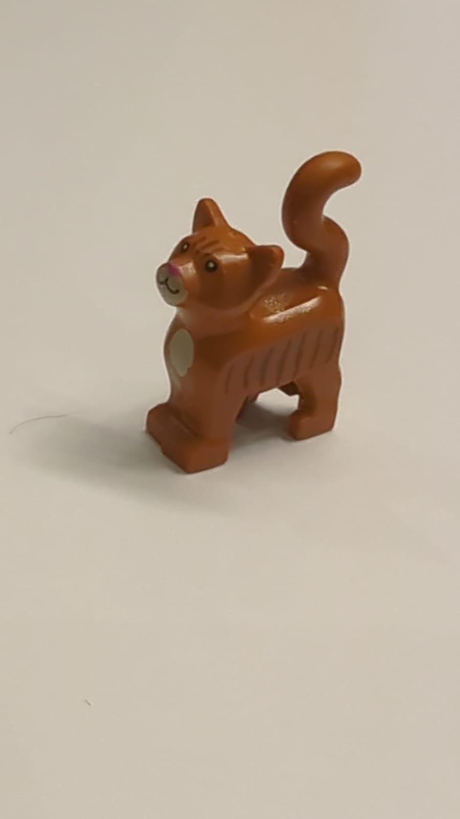 NEU Katze, stehend mit schwarzen Augen, pinker Nase. neubraun gestreift, dunkelorange