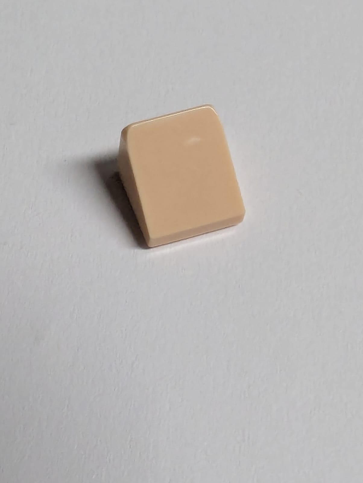 NEU Dachstein Käseecke 30 1 x 1 x 2/3 hellnougat