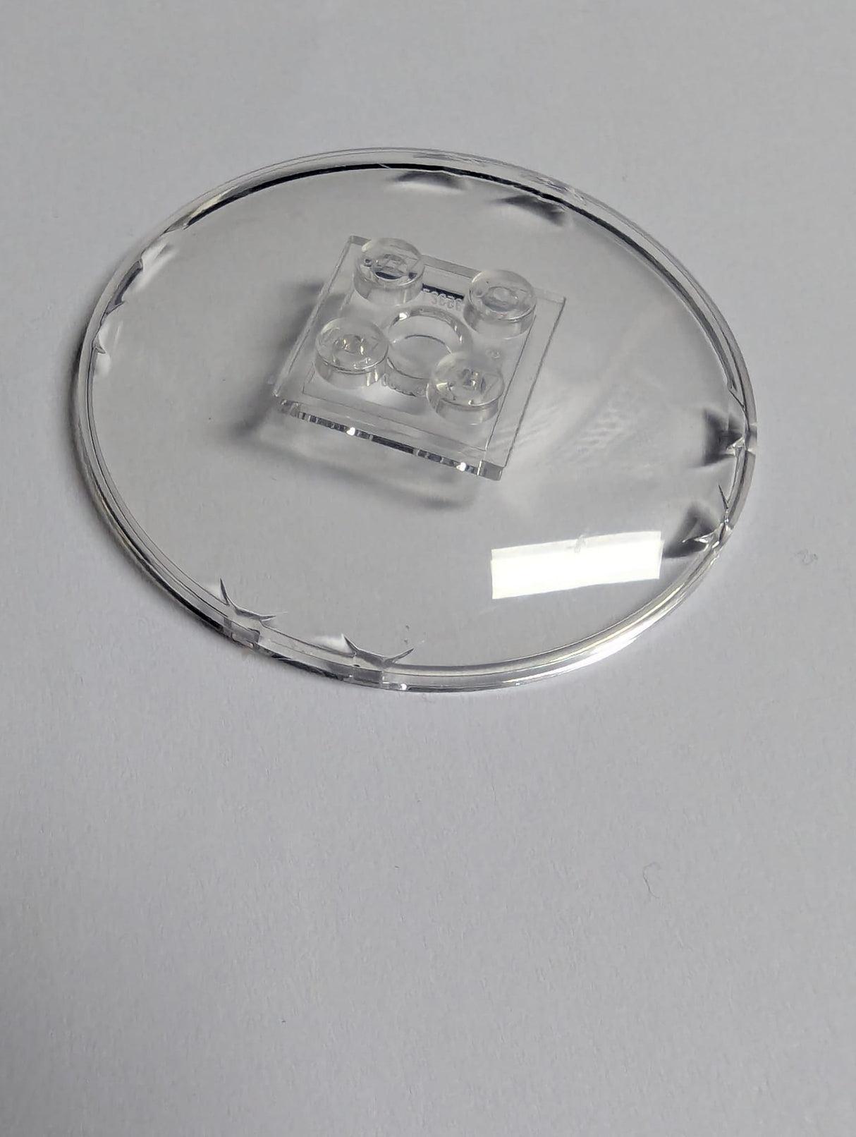 NEU Dish 6 x 6 Inverted (Radar) - Solid Studs transparent weiss trans-clear