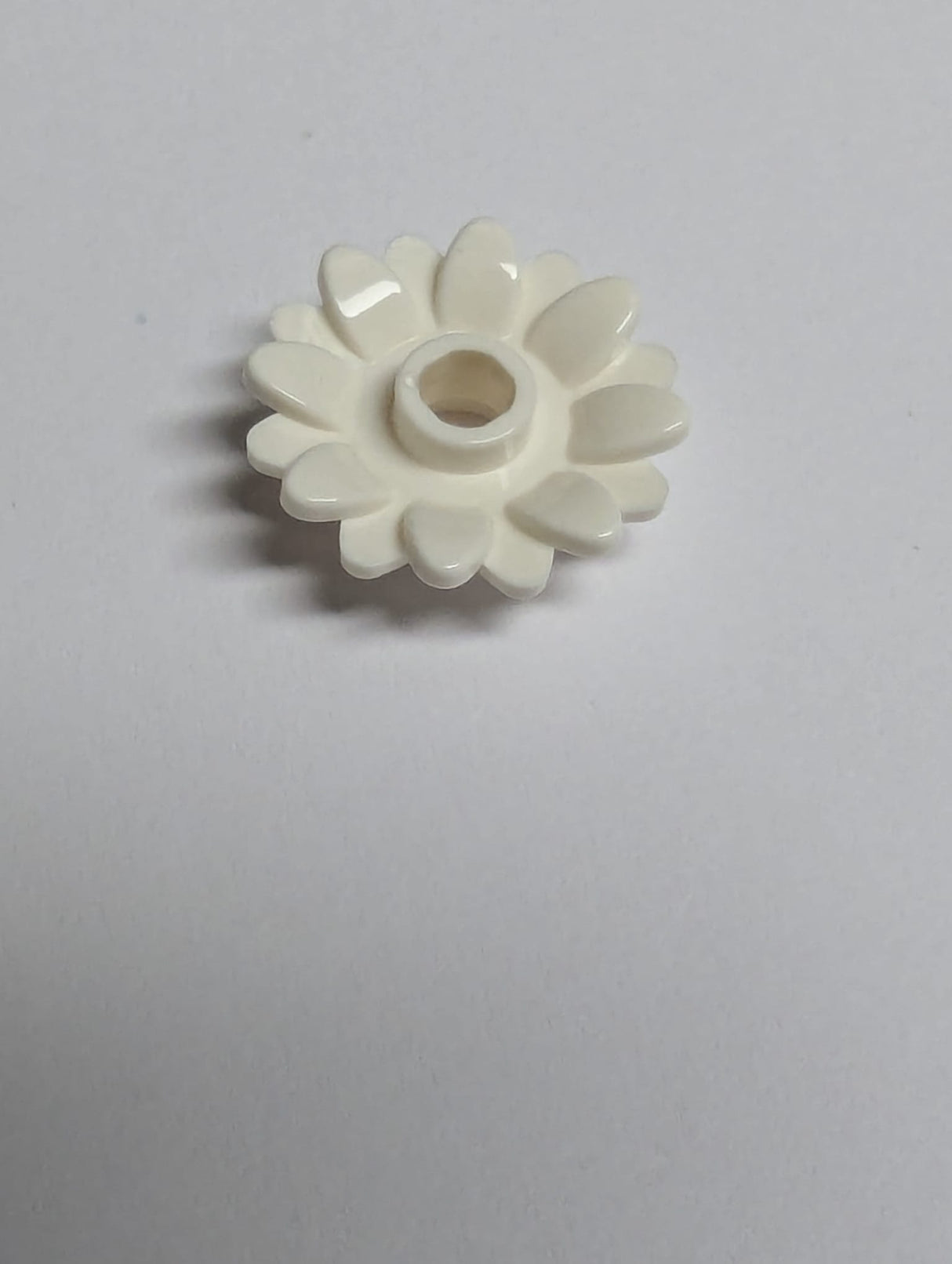 NEU Pflanze Blume 2 x 2 rund mit 16 Blütenblättern (Sonnenblume) mit offenem Noppen weiß