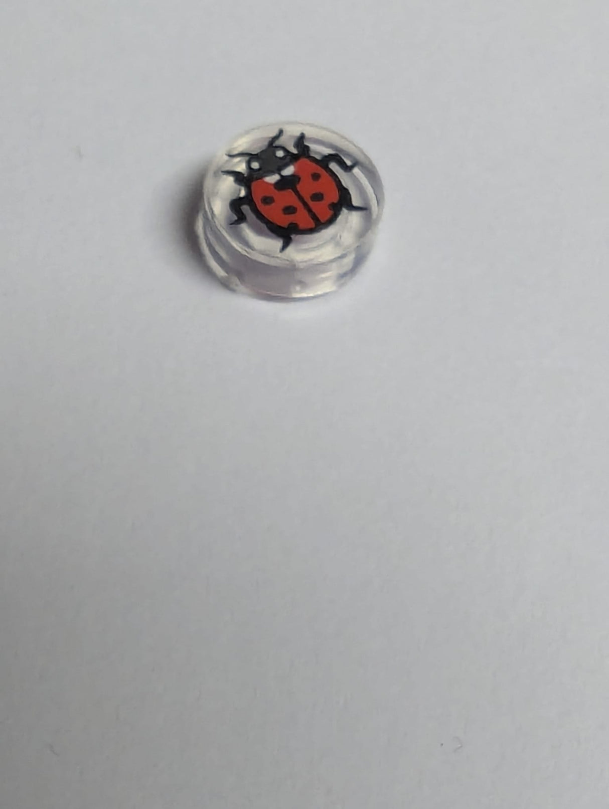 NEU Fliese, rund 1 x 1 mit Marienkäfer, kleinen weißen Augen und schwarzem Antennenmuster transparent weiß