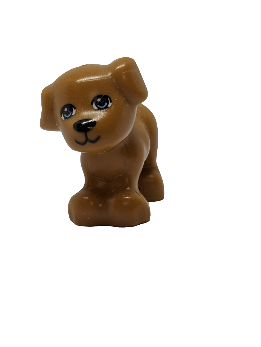 Hund, Friends, Puppy, stehend mit mittelblauen Augen, (Bruno / Coco / Pippa) nougat medium nougat