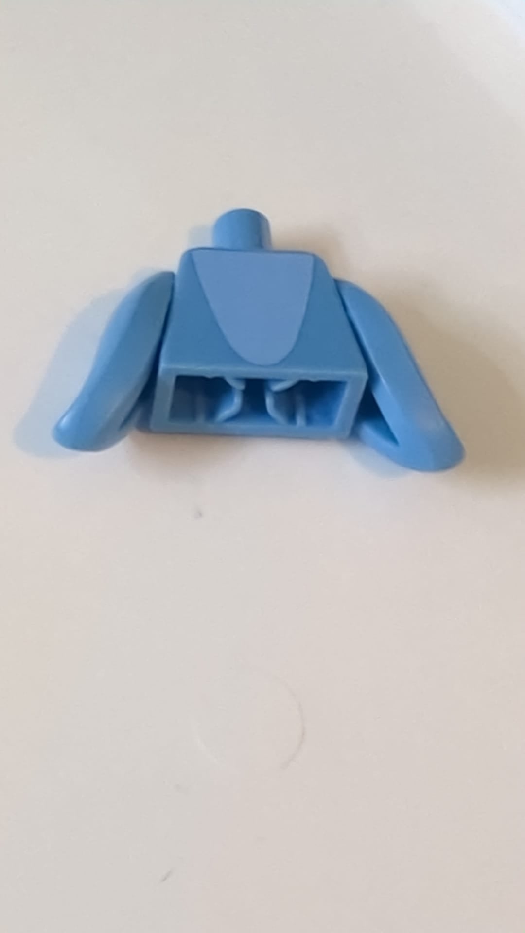 Delfintorso mit weißem Bauchfleckenmuster / Hellblaue Flossen hellblau