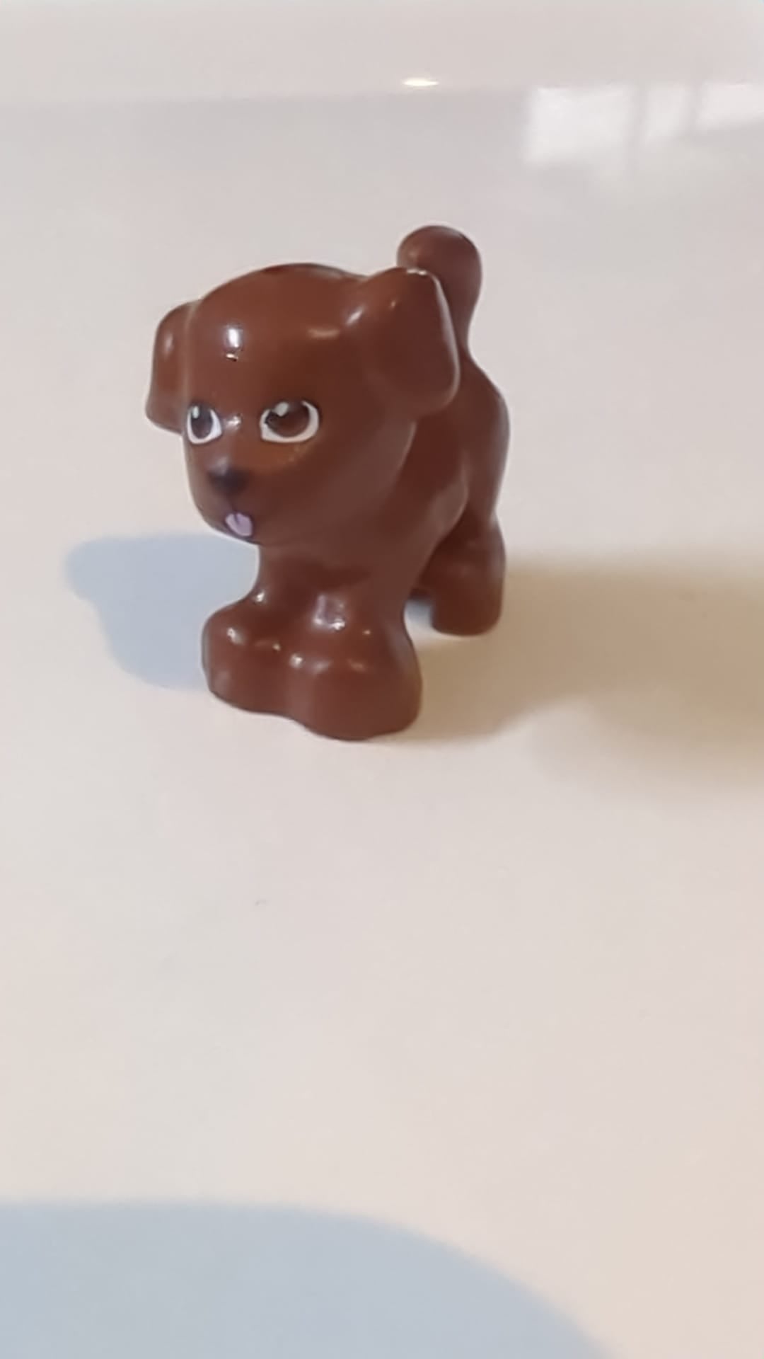Hund, Mini-Puppen-Stil, Welpe, stehend mit rotbraunen Augen, schwarzer Nase und leuchtend rosa Zungenmuster "Friends Dash" neubraun