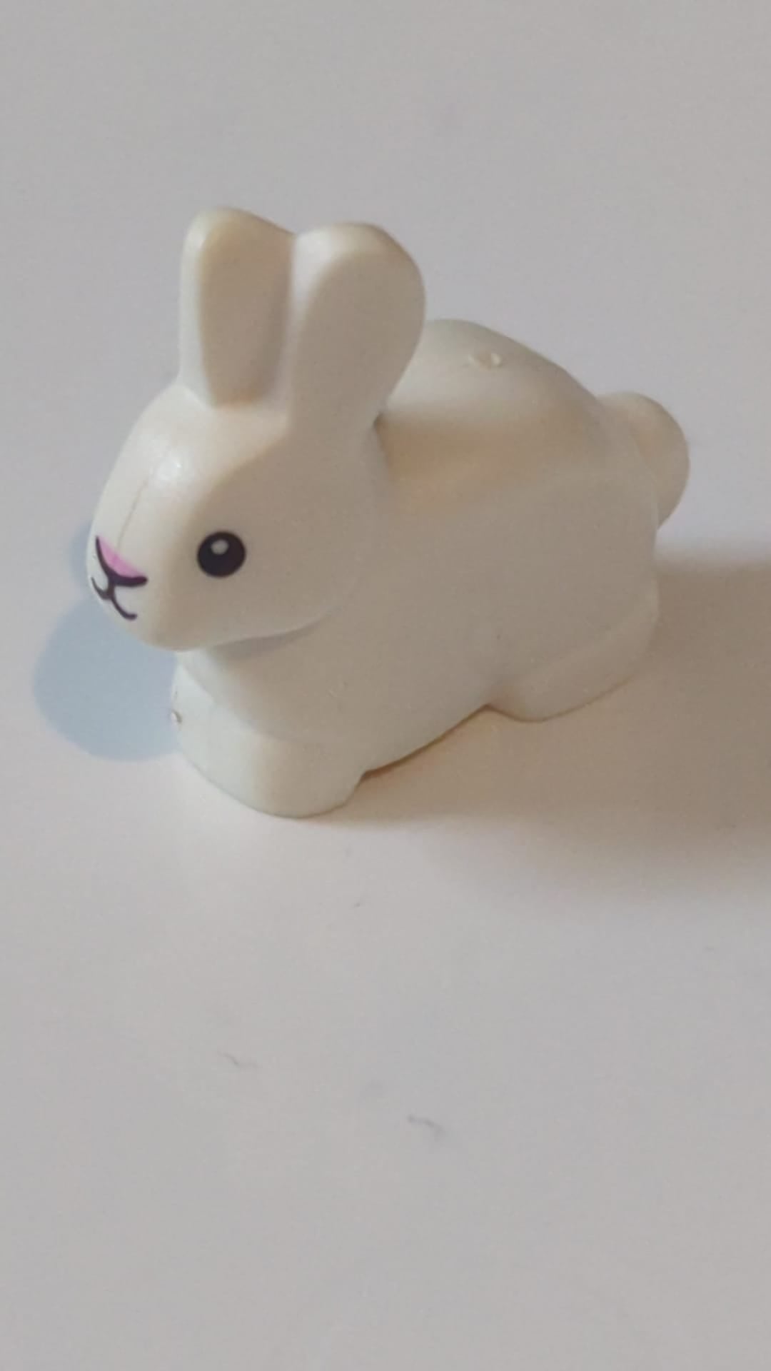 Hase / Kaninchen mit schwarzen Augen und weißen Pupillen sowie leuchtend rosa Nasenmuster weiß