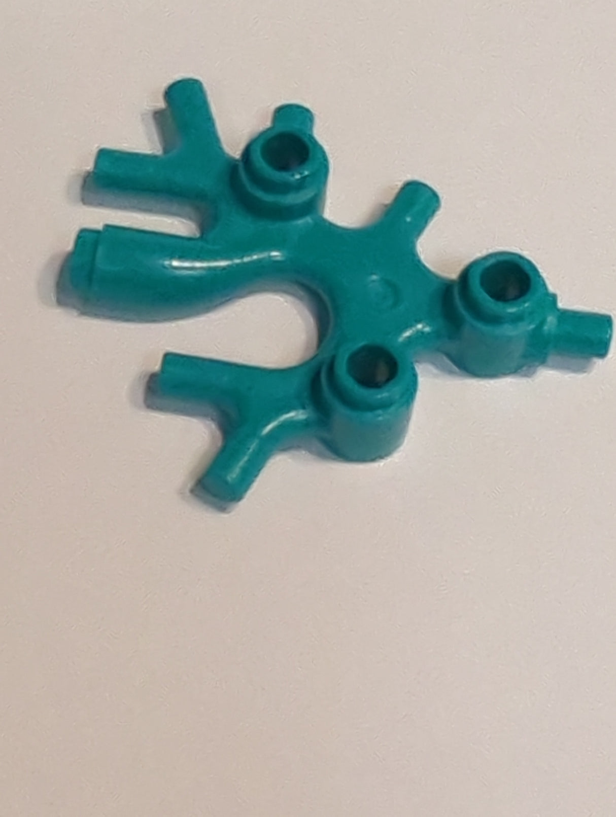 NEU Pflanze Thallus / Algen / Koralle türkis