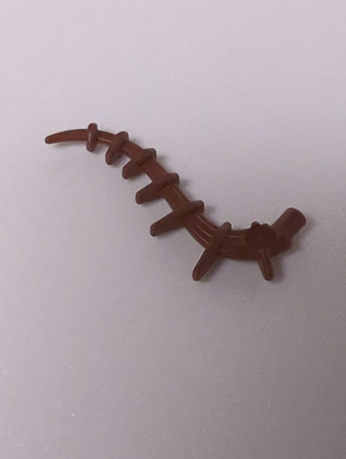 NEU Pflanze Seegras Alge Schwanz neubraun