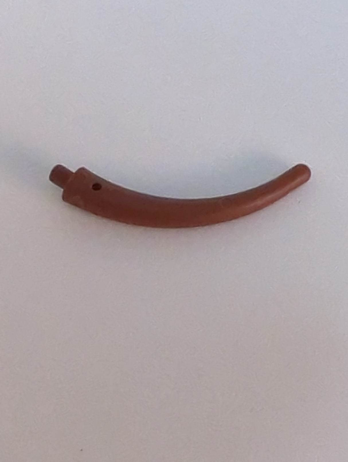 NEU Dinosaurierschwanz-Endabschnitt / Horn neubraun