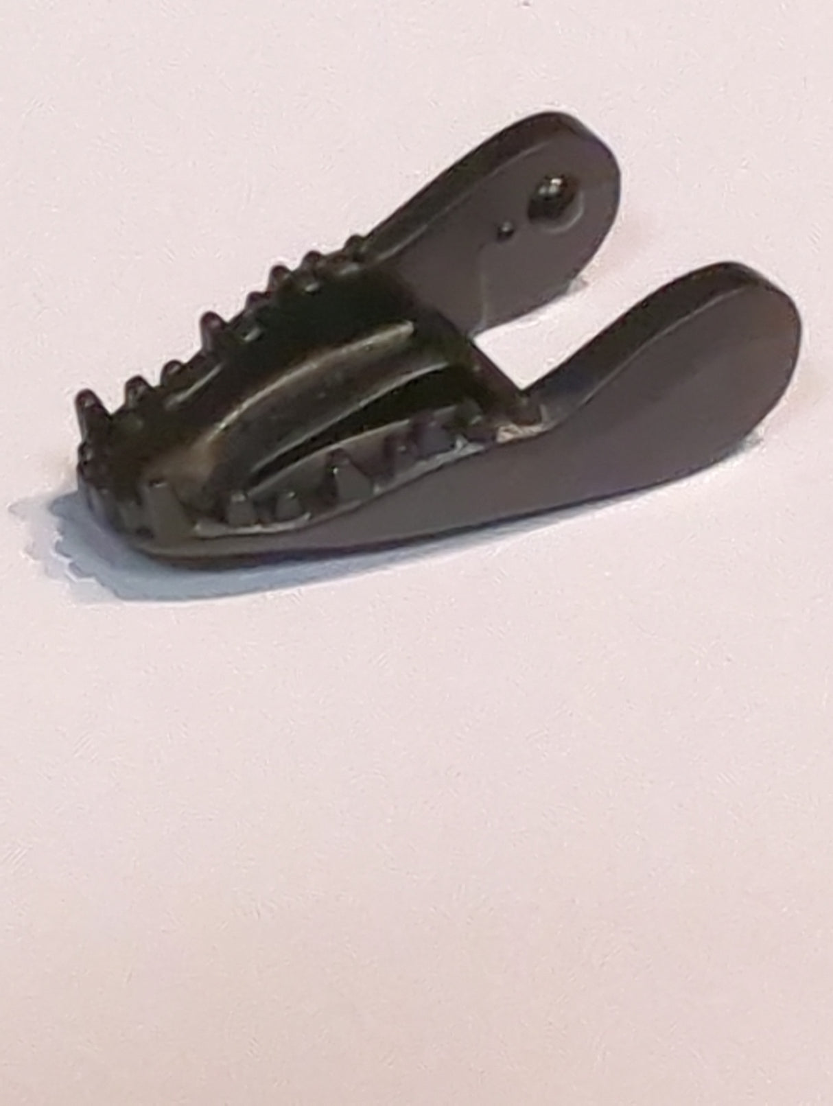 NEU Dinosaurierunterkiefer Indoraptor schwarz