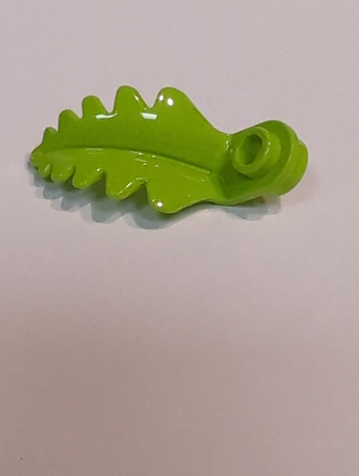 NEU Pflanzenplatte rund 1 x 1 mit gebogenem, aufrechtem Blatt lindgrün