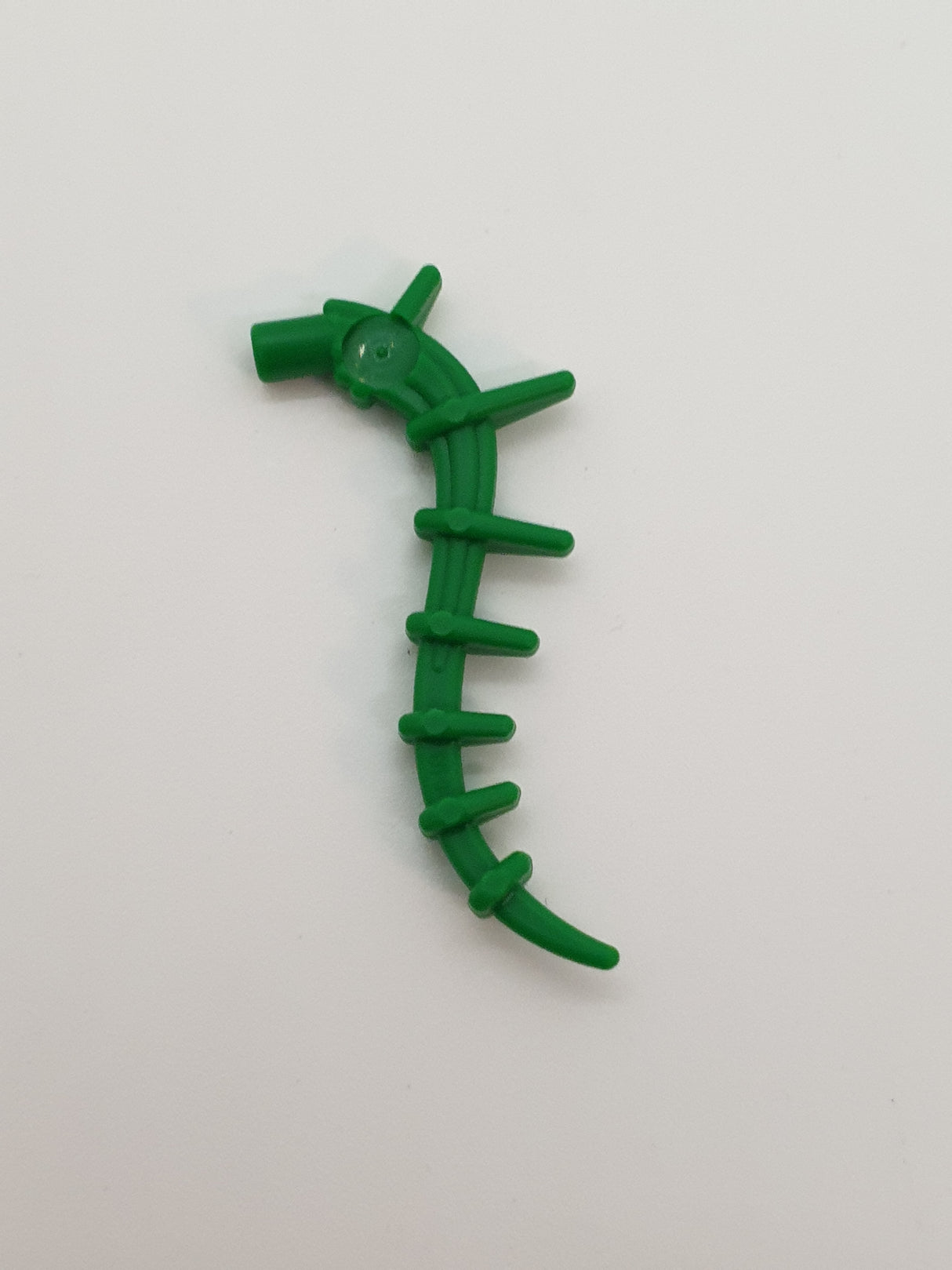 NEU Pflanze Seegras Alge Schwanz grün