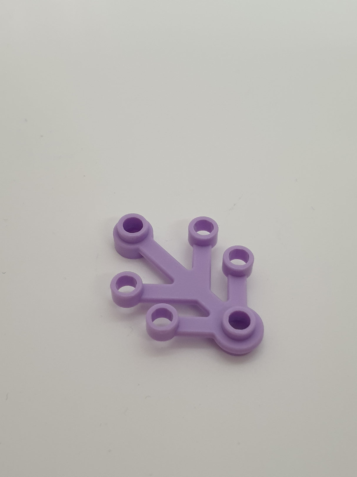 4x3 Pflanzenblätter Zweig lavendel