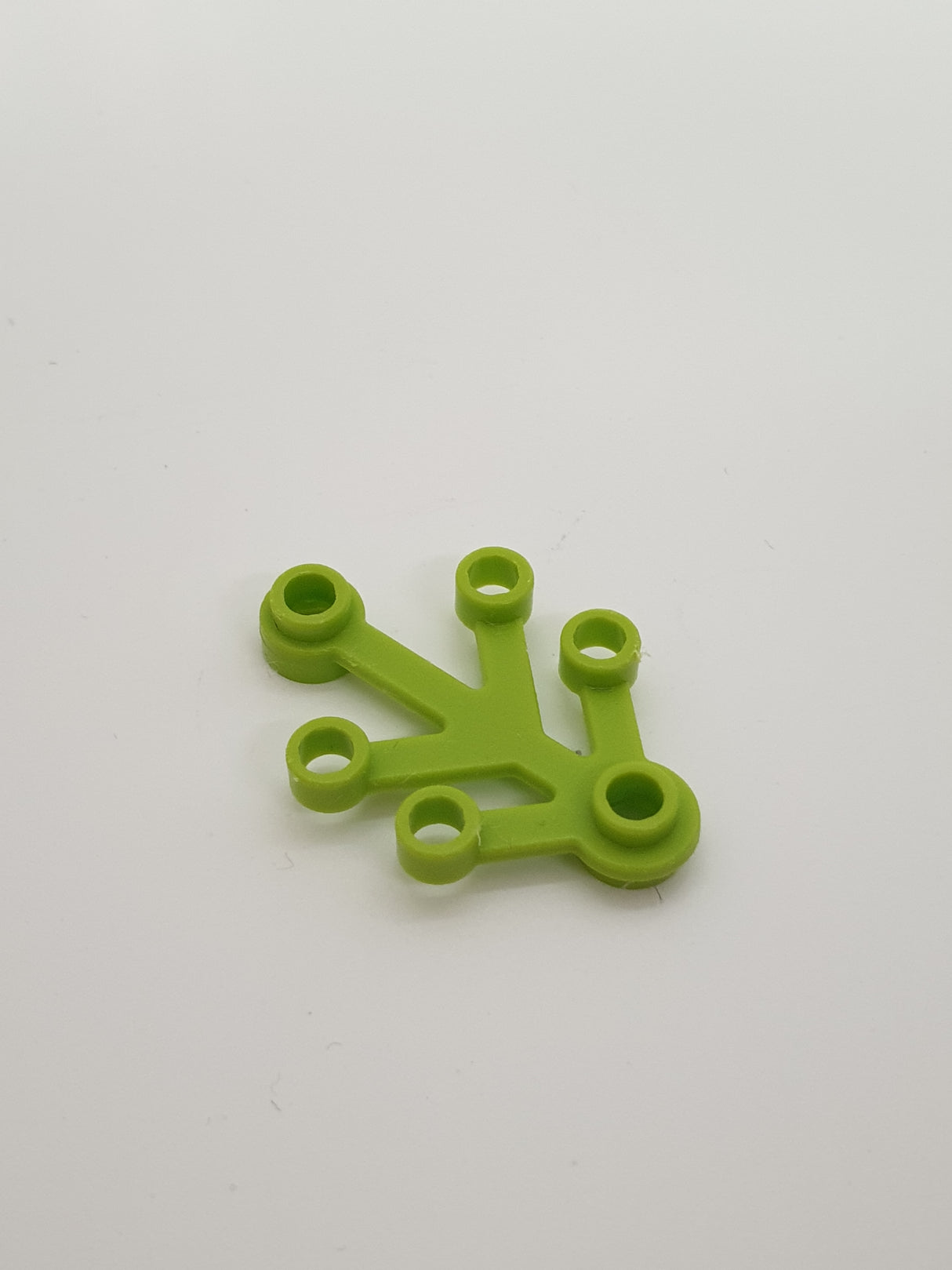 4x3 Pflanzenblätter Zweig lindgrün