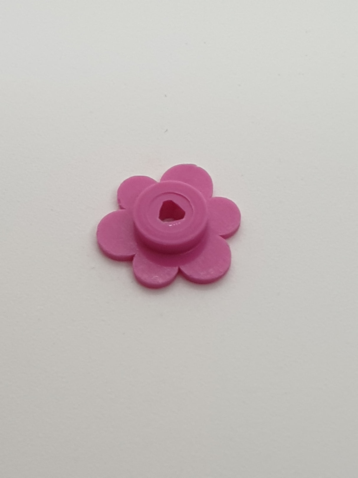 Blüte Blumenkopf knallpink