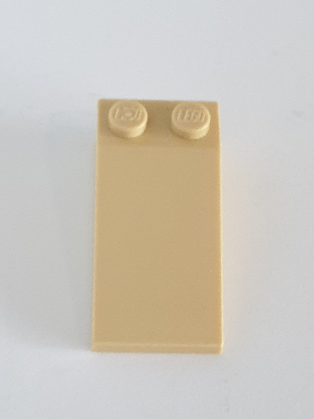 2x4x1 Dachstein 18° beige tan