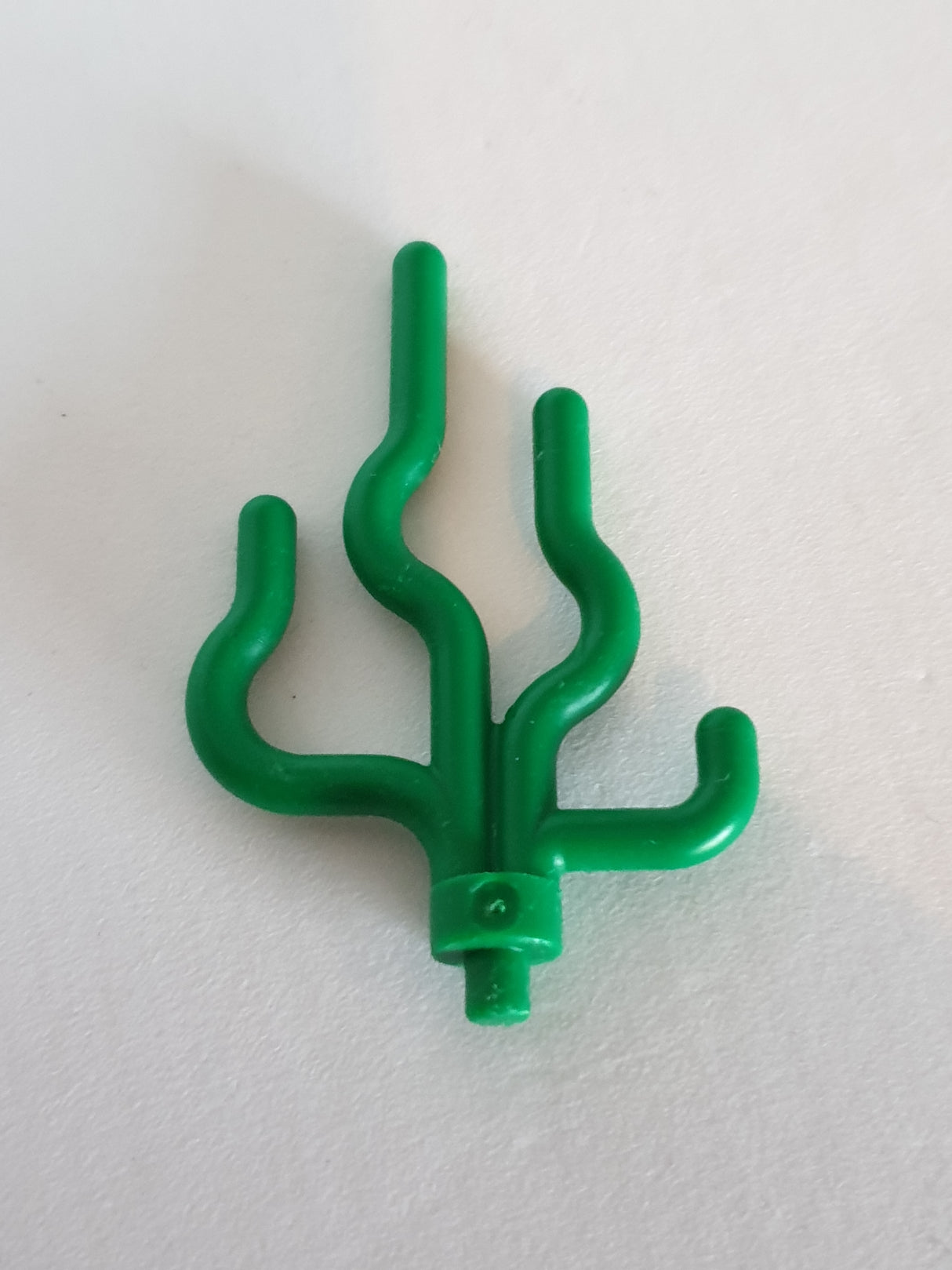 Wasserpflanze Seegras grün