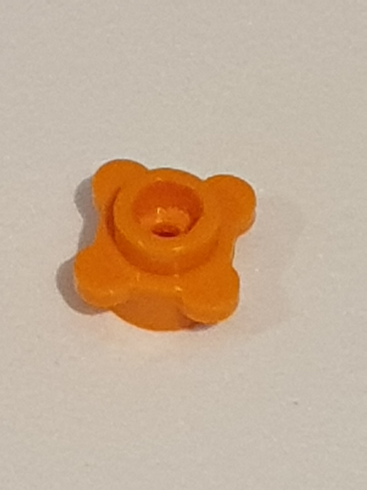 1x1 Rundplatte Blumenrand Blüte orange