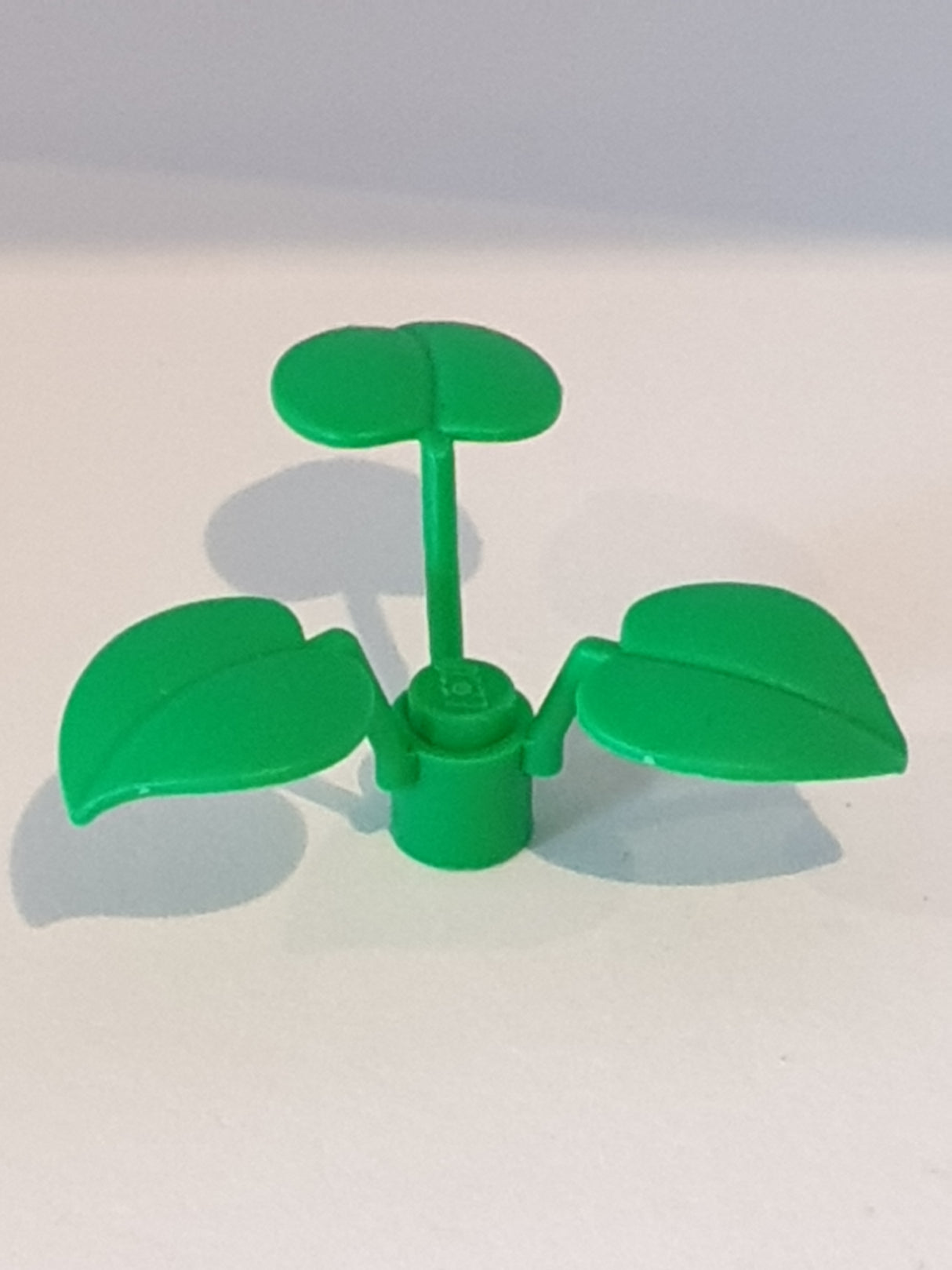 Pflanze mit 3 grossen Blättern mediumgrün Bright Green