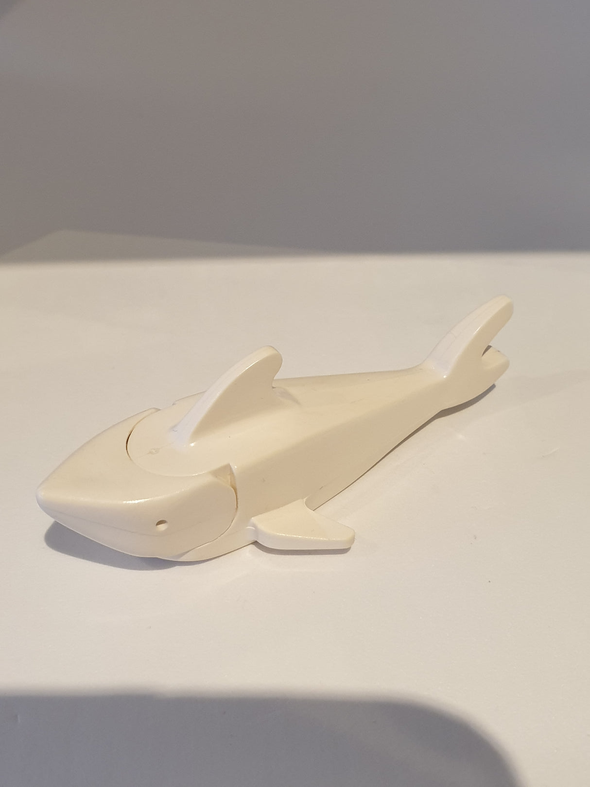 Hai mit spitzer Nase weiß white