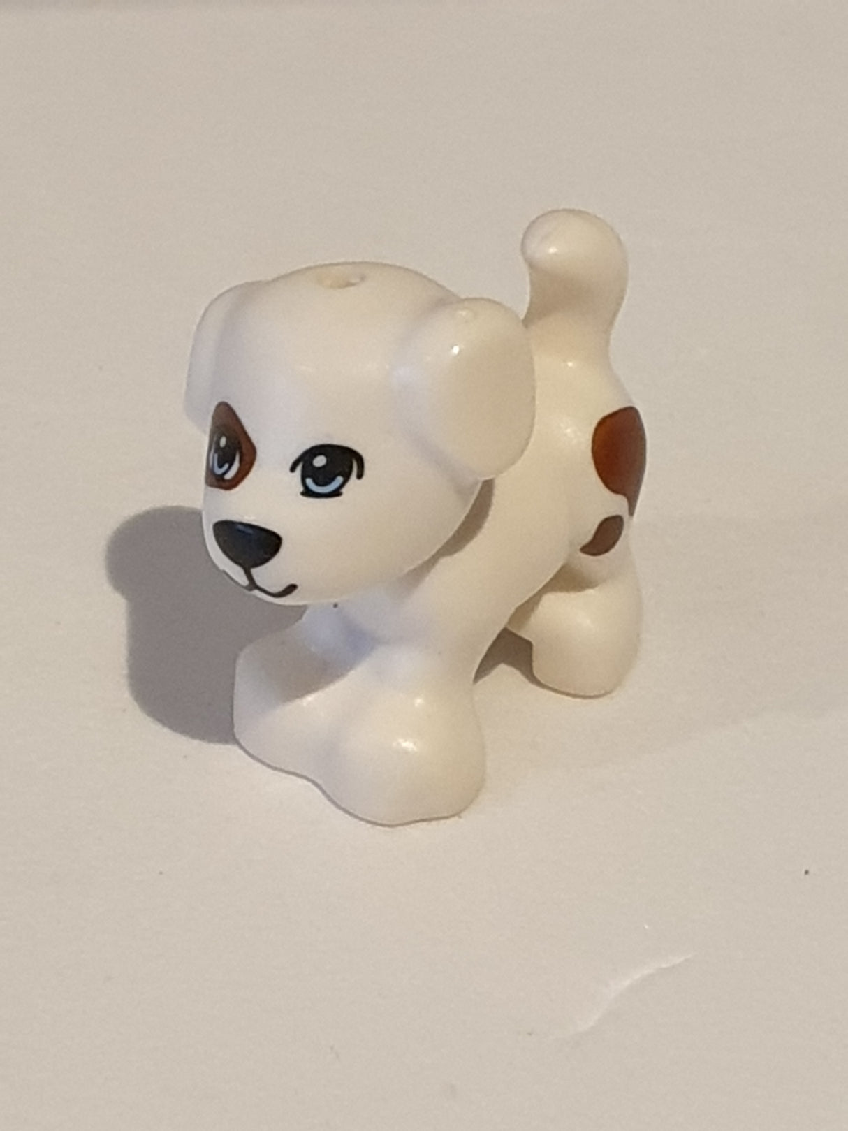 Hund Welpe (Charlie/Jacky)