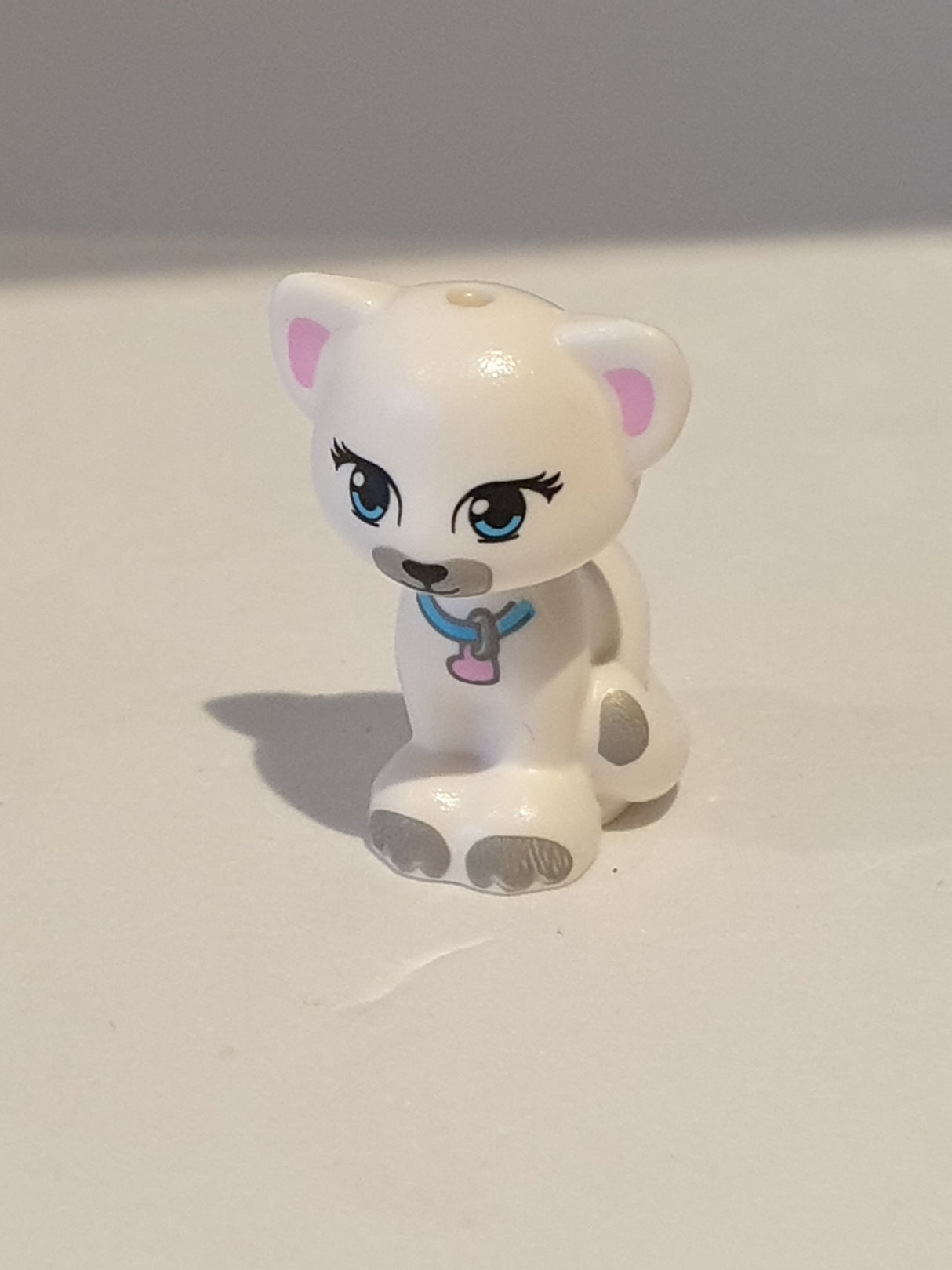 Katze sitzend mit Lavendel Augen und Halsband, weiß white