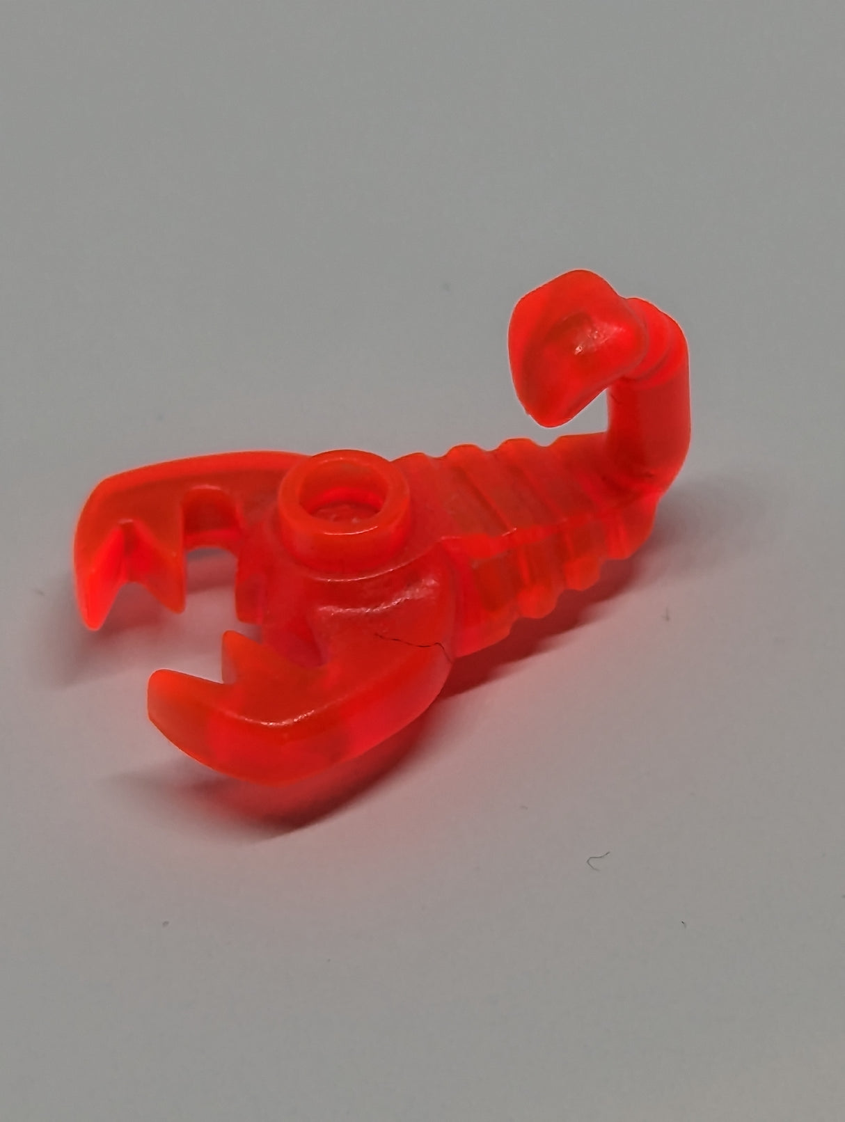 Skorpion transparent neonorange trans-neon orange
