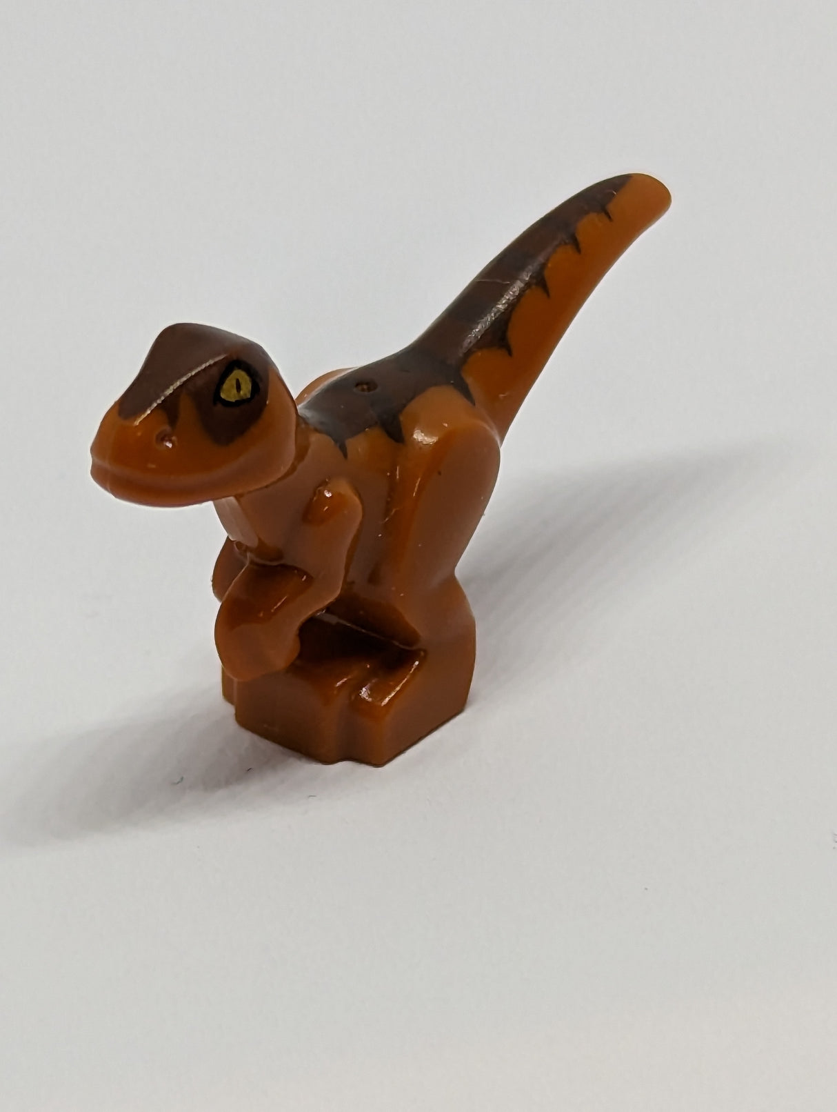 Dino Raptor Baby mit Dark Brown and Reddish Brown Back dunkelorange dark orange
