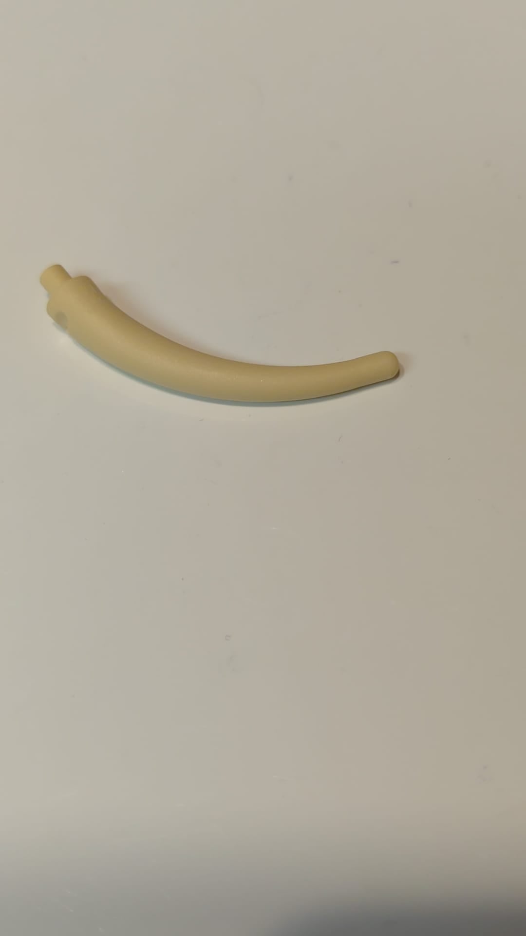 NEU Dinosaurierschwanz-Endstück / Horn, groß beige