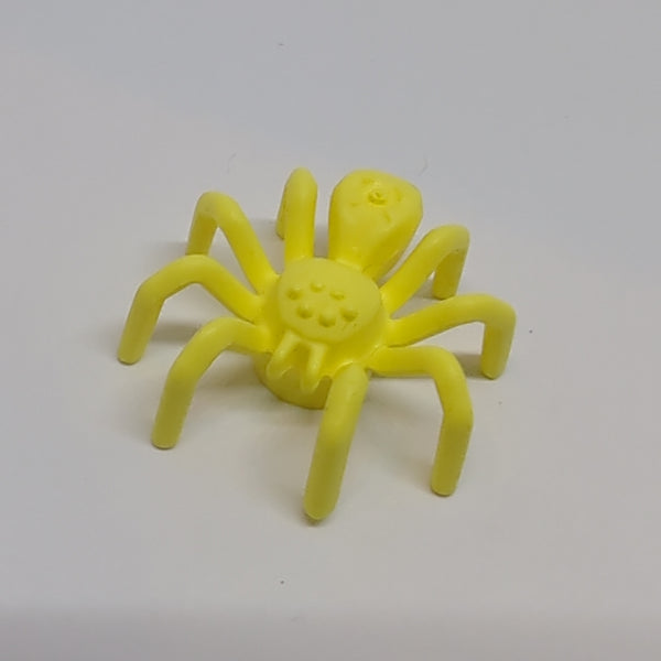 Tier Spinne mit länglichem Körper hellgelb bright light yellow
