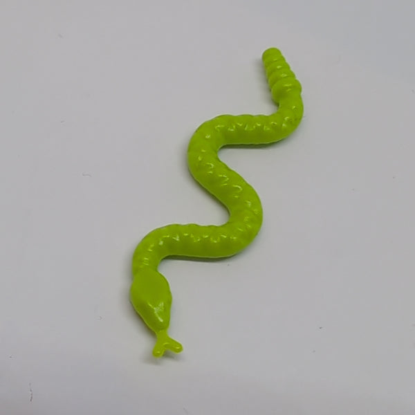 Schlange Tier Klapperschlange lindgrün lime