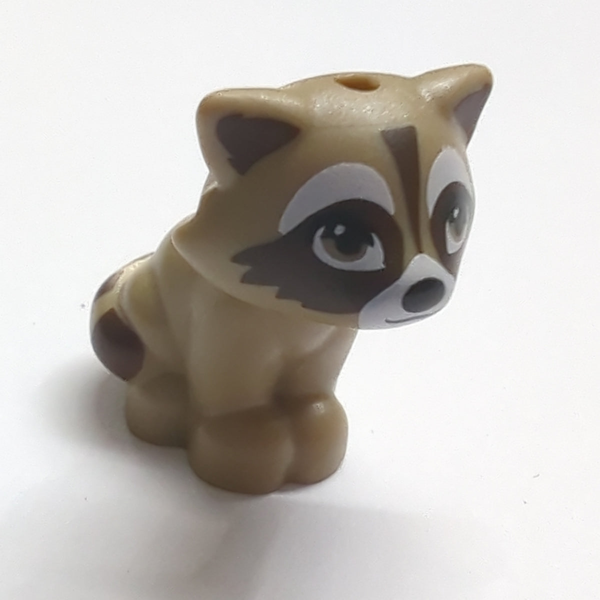 NEU Raccoon, Friends with White Muzzle, Black Nose, Dark Brown Marking ...