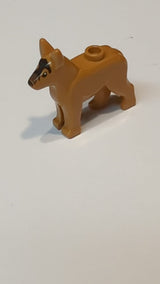 Hund, Schäferhund / Deutscher Schäferhund mit schwarzen Augen, Nase, Stirnzeichnung und dunkelbraunem Muster