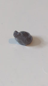 Frosch neudunkelgrau