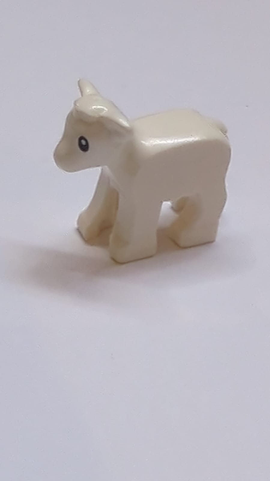 NEU Lamm mit schwarzen Augen und weißen Pupillen weiß