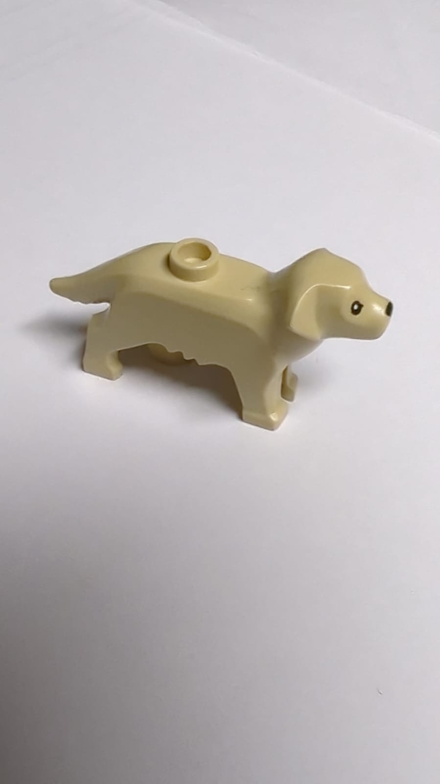 NEU Hund Labrador / Golden Retriever und schwarzen Augen und Nase bedruckt schwarz