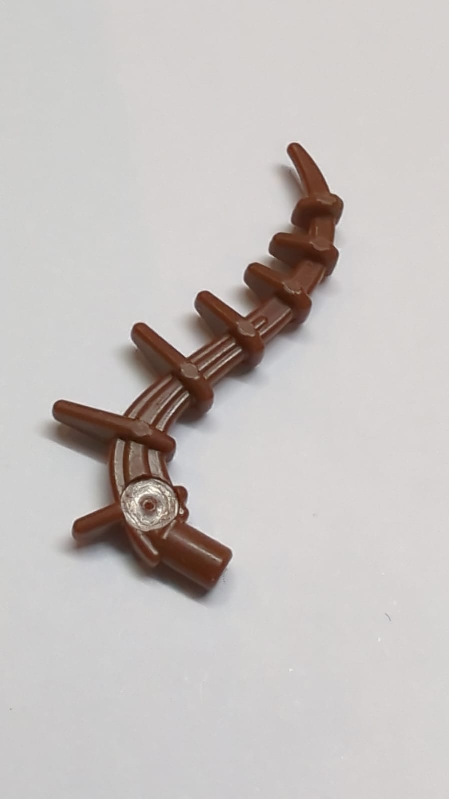 Seepflanze Ranke Liane Schwanz neubraun