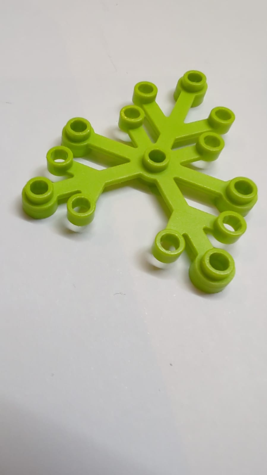 6x5 Pflanzenblätter Zweig lindgrün