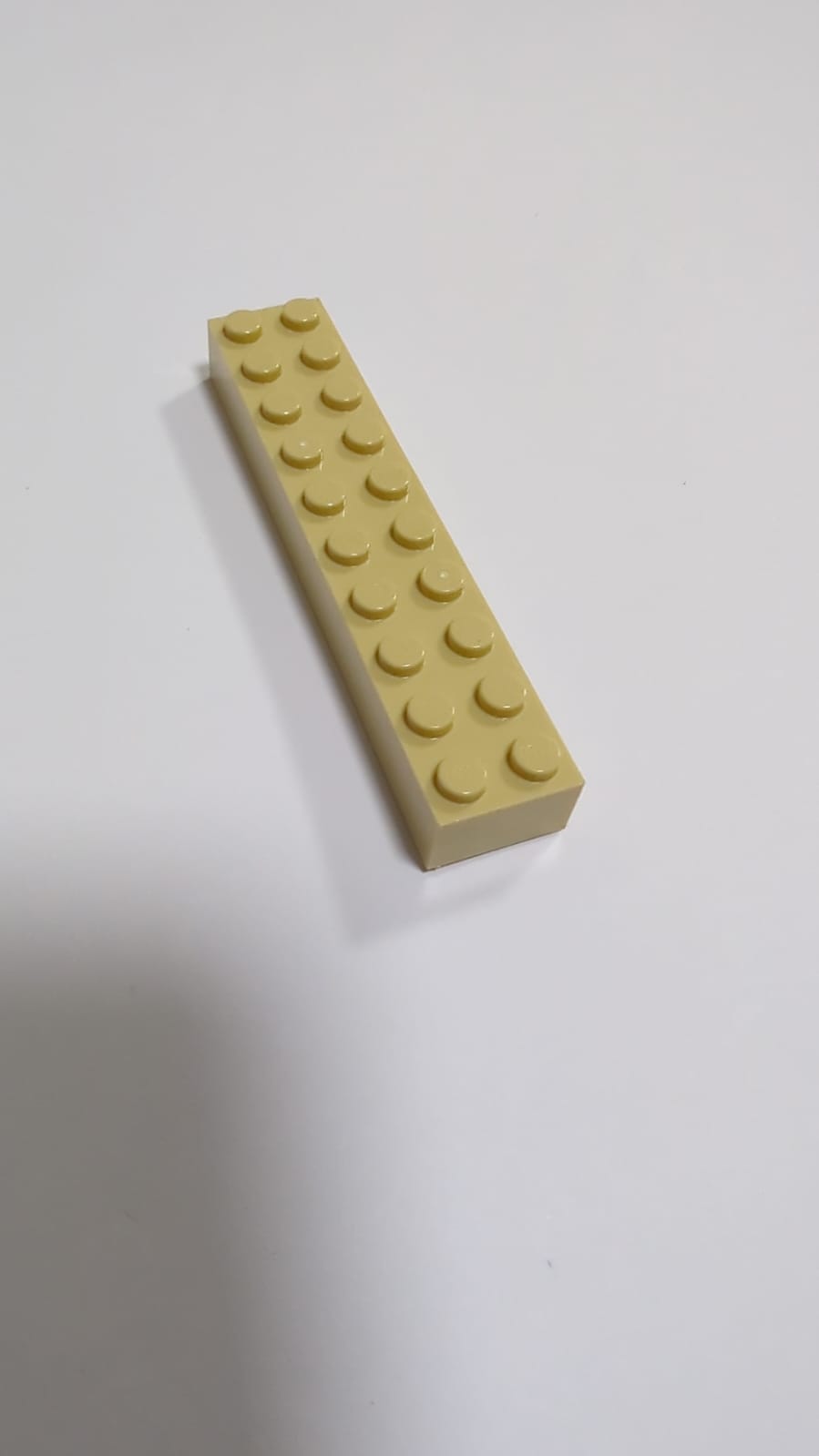 NEU Stein 2 x 10 beige tan