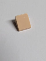 NEU Dachstein Käseecke 30 1 x 1 x 2/3 hellnougat