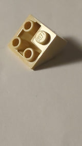 NEU Dachstein, Inverted 45 2 x 2 doppelt konvex beige