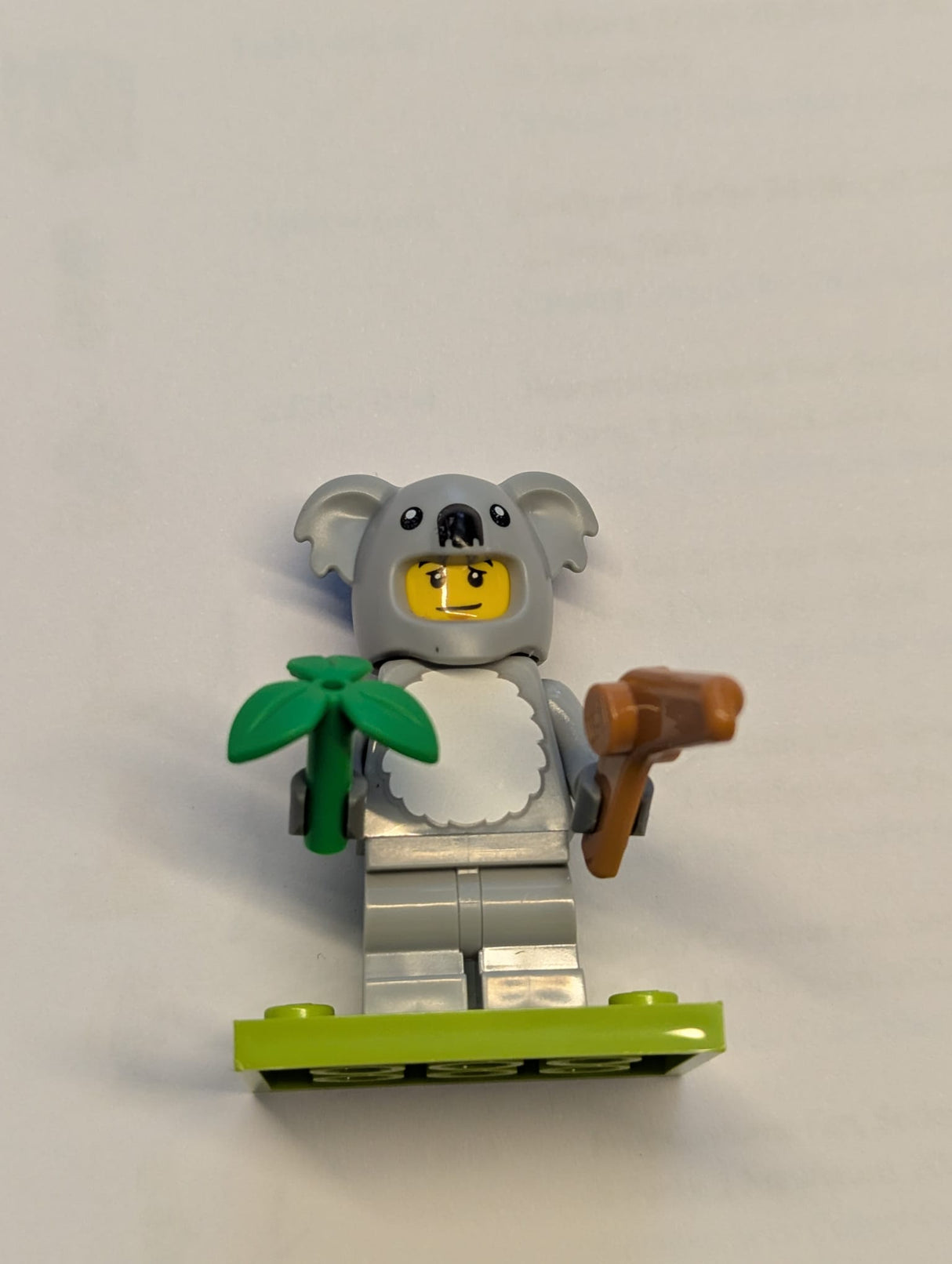 NEU Koala-Kostümfächer, Serie 28 „Komplettes Set mit Ständer und Zubehör“