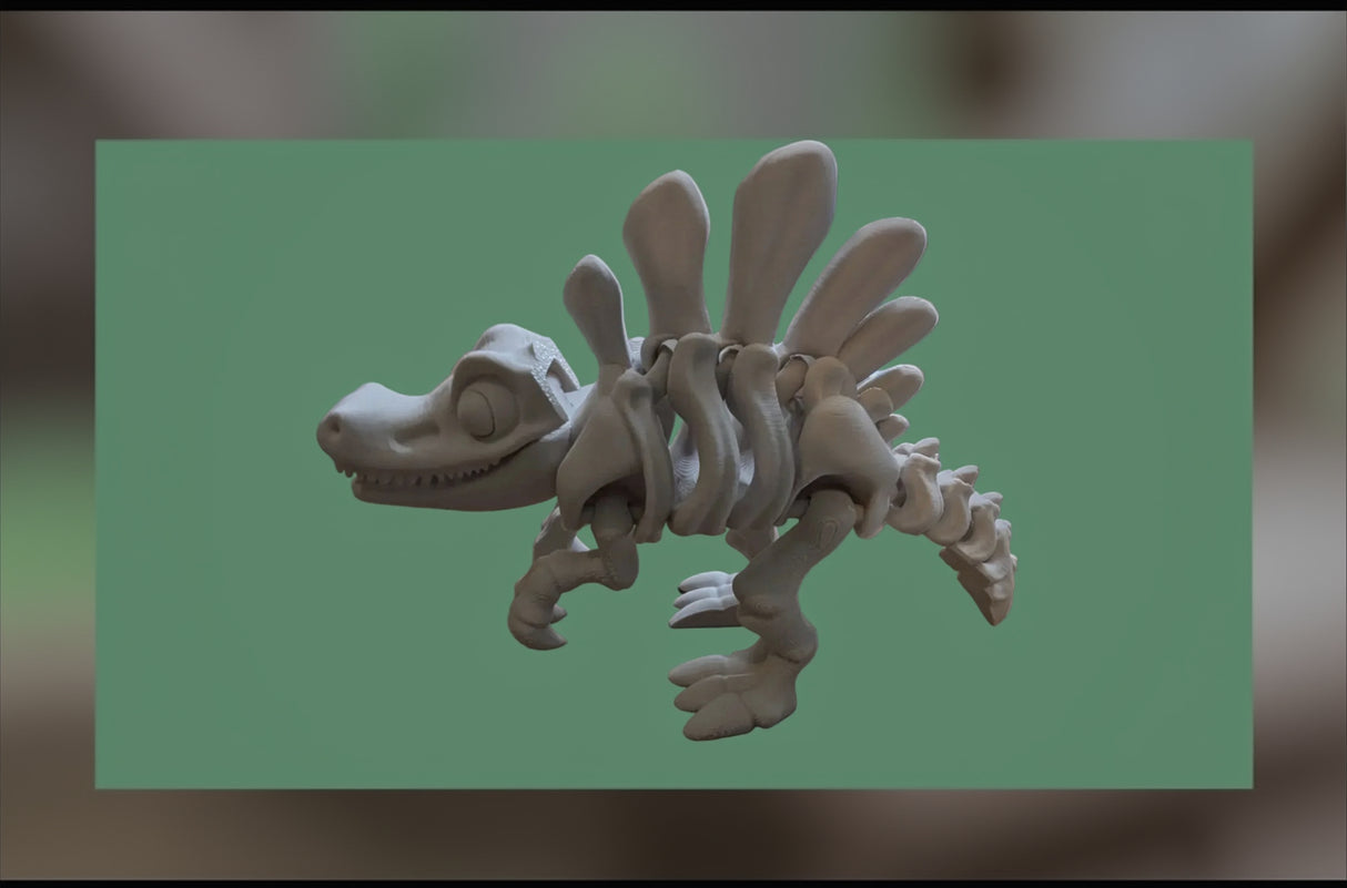 Flexibler Dinosaurier: Spinosaurier Skelett, es kann liegen und stehen 3D knochenweiß