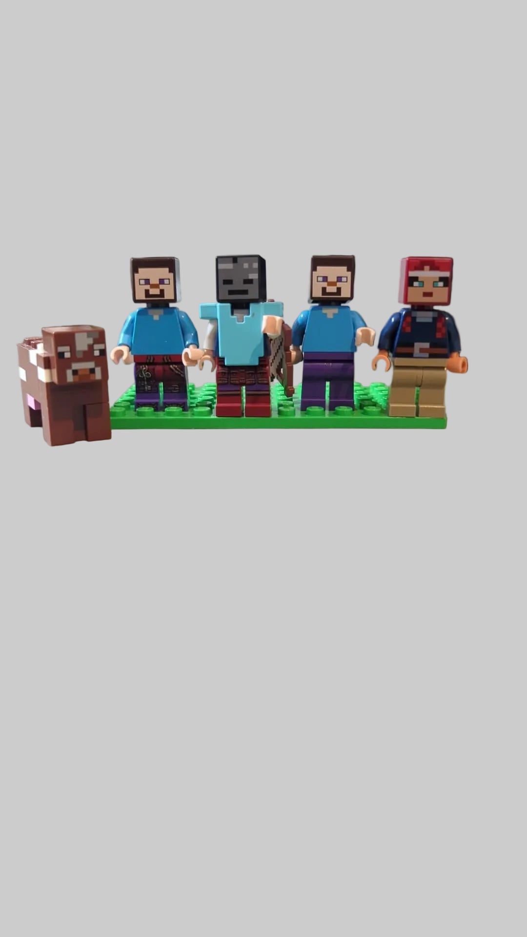 Bunte Tüte mit diesen 5 Minifiguren aus dem Bereich Minecraft min06