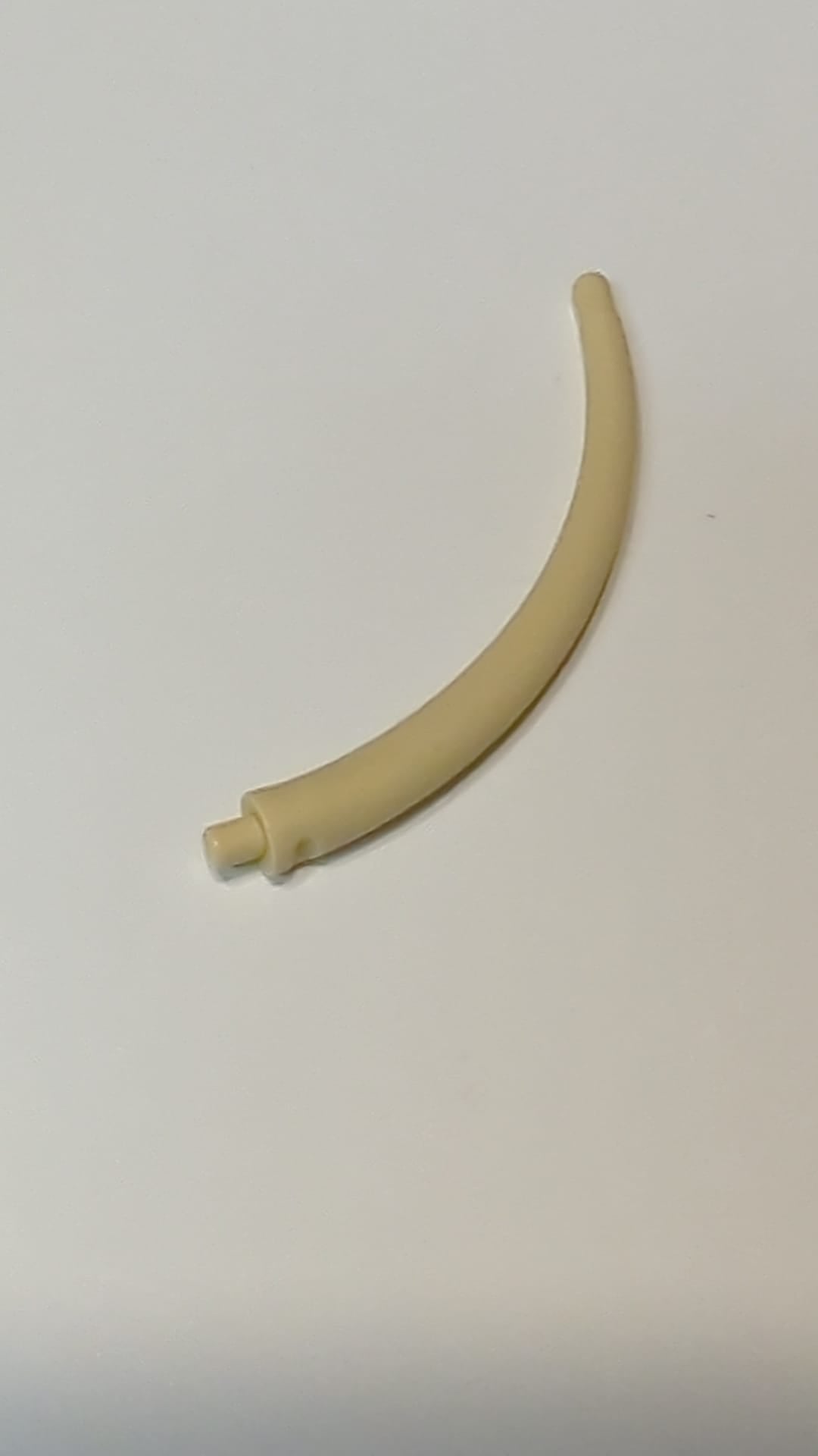 NEU Dinosaurierschwanz-Endstück / Horn, klein beige